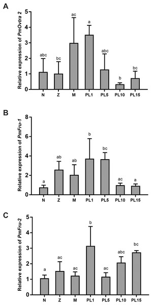 Temporal expression of PmOvtra 2, Pmfru-1, and Pmfru-2.