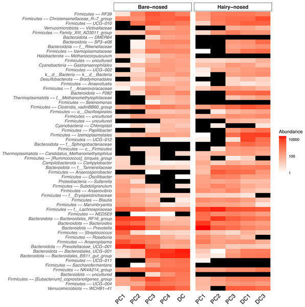Heat map of the microbial genera that were found to be differentially abundant between proximal and distal colon sites.