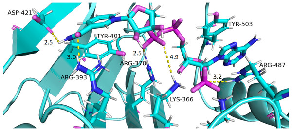 Residue interactions within binding site of Structural NADP+.