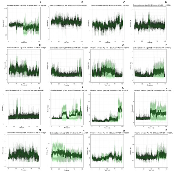 Time evolution of distance of structural NADP+ with the key interacting residues in the binding site for wild type and mutant (A–L).