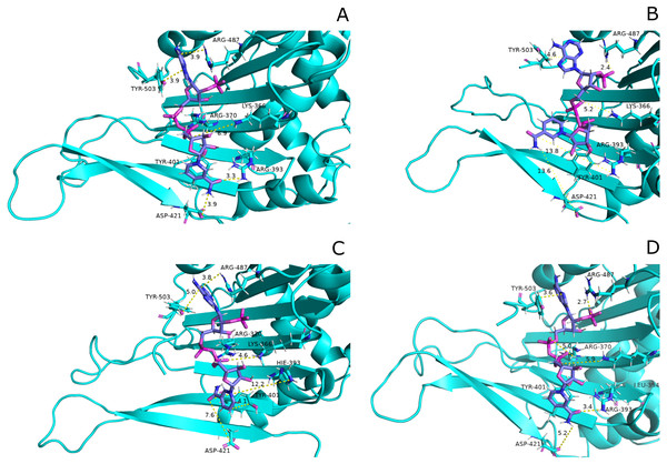 Most common centroid structure showing mean change in distances in structural NADP+ binding site.