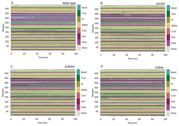 Protein secondary structure analysis.