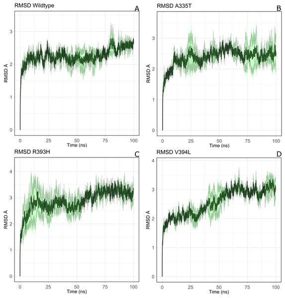 The comparative backbone RMSD of wild type and mutants in duplicate simulation.