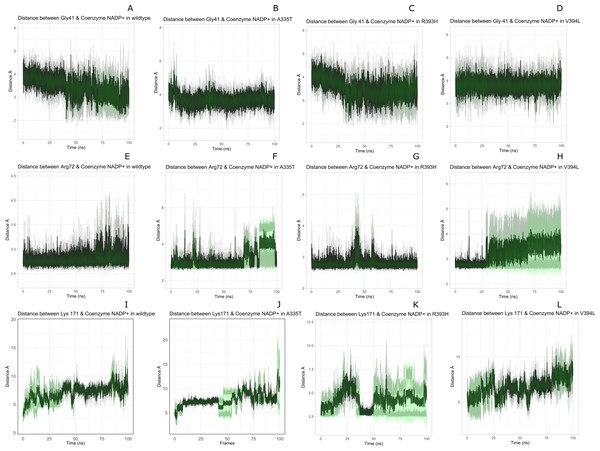 Time evolution of distance of Coenzyme NADP+ with the key interacting residues in the binding site for wild type and mutant (A–L).
