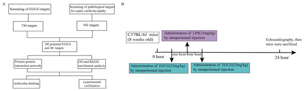 Flow chart of the analysis process in this study.