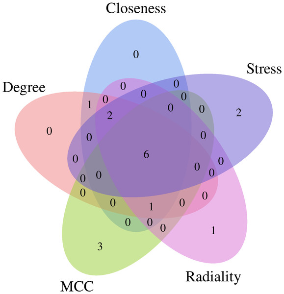 Five topological analysis methods of CytoHubba plug-in of Cytoscape software were used to analyze the gene clusters with a score of 52.273, and six key targets of EGCG in the treatment of septic cardiomyopathy were obtained.