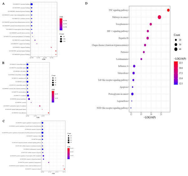 GO enrichment analysis of potential targets.