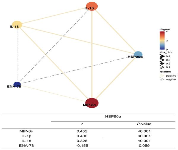 Correlation network of plasma HSP90α levels with laboratory indexes (Spearman analysis).