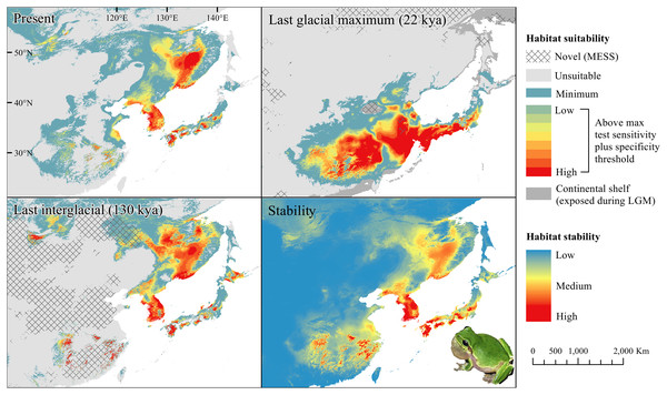 Past and present predicted distribution of Dryophytes japonicus Clade B.