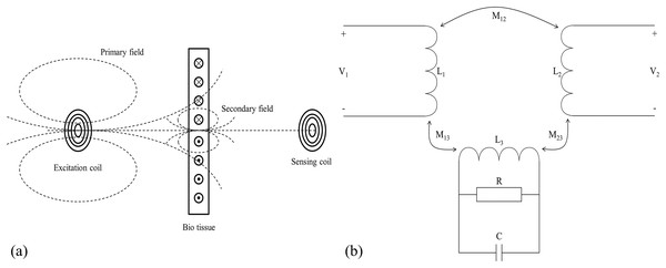 Measurement principle of magnetic induction phase shift.