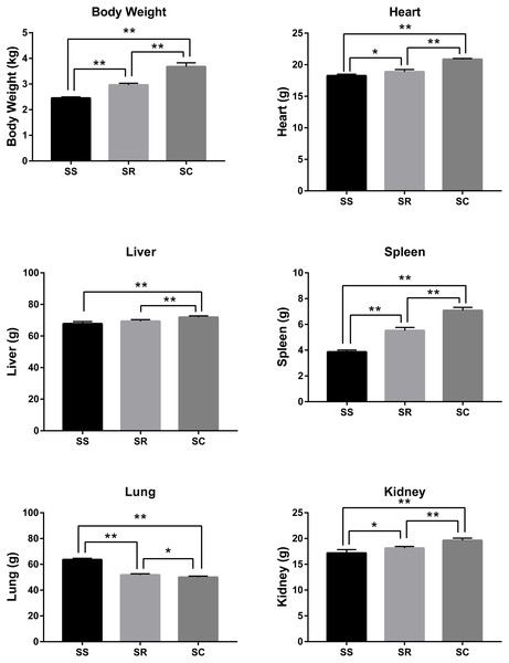 The difference of bodyweight, heart, liver, spleen, lung and kidney of the piglets in SS, SR and SC groups.