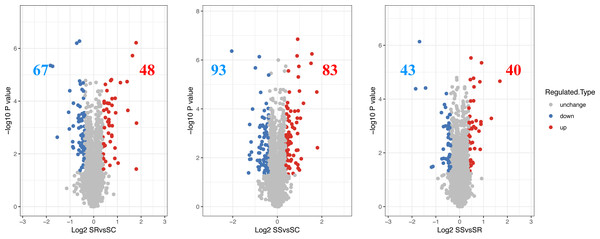 The differential expressed proteins identified in piglet spleen of SR vs SC, SS vs SC and SS vs SR.