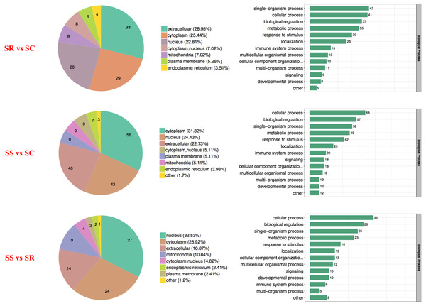 Wolfpsort-based subcellular localization prediction of the differentially abundant proteins of SR, SS and SC groups.