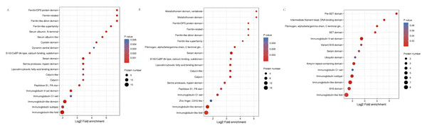 The bubble pattern of GO functional enrichment analysis of the DEPs identified in piglet spleen among (A) SR vs SC, (B) SS vs SC and (C) SS vs SR comparison.