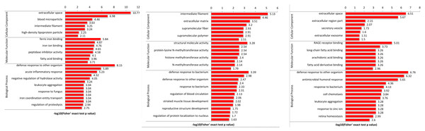 Protein domain analysis of the DEPs identified in piglet spleen among SR vs SC (A), SS vs SC (B) and SS vs SR (C) comparison groups.