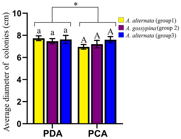 Growth diameter of isolates on different culture media.