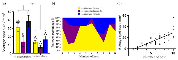 Comparison of the pathogenicity (A) and host range (B) of three groups of Alternaria spp. on A. adenophora and native plants and correlation analysis of host range and pathogenicity (C).