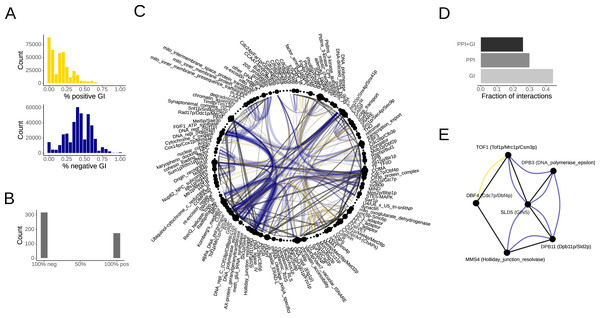 Genetic interactions in functional network motifs.