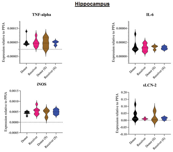 Tissue sample analyses hippocampus.