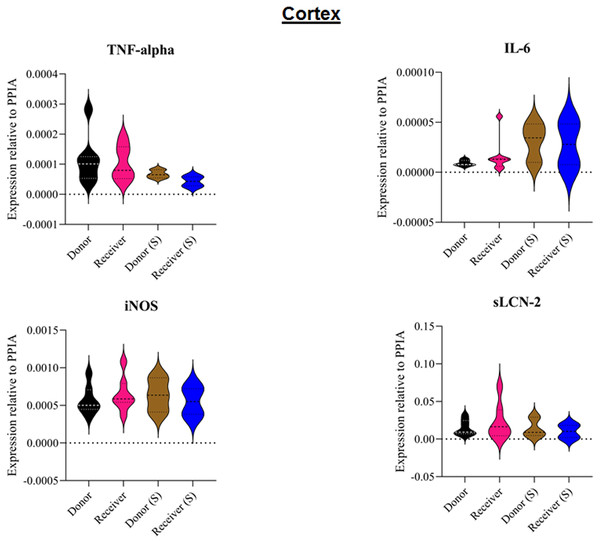 Tissue sample analyses cortex.