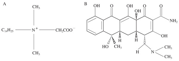 Structural formulas of BS-12 (A) and TC (B).