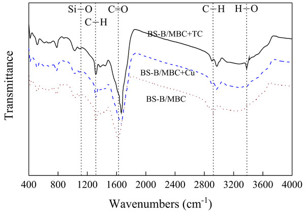 FTIR spectra of 100BS-B/MBC before and after Cu2+ and TC adsorption.