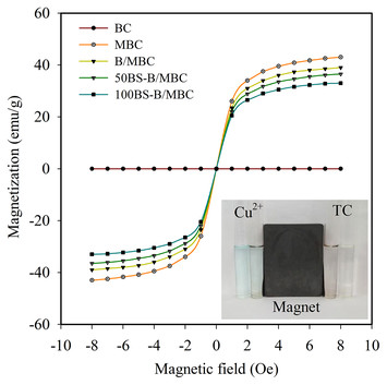 Characterization Of Amphoteric Bentonite-loaded Magnetic Biochar And ...