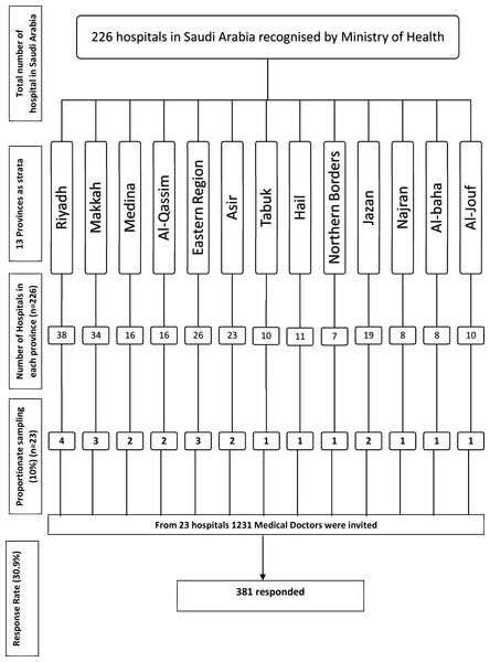 Flow diagram of sampling and sample size calculation from 13 provinces of Saudi Arabia.