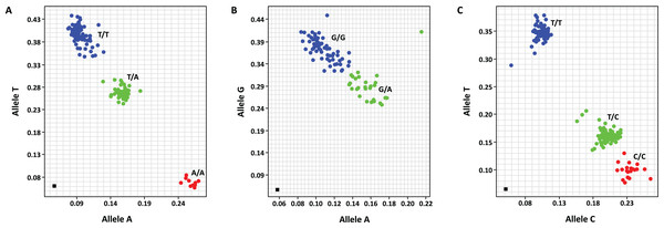 Allelic discrimination plots of the polymorphic SNP markers, including mEgDELLA1_SNP2100 (genotypes T/T, T/A and A/A) (A), mEgDELLA1_SNP2248 (genotypes GG and GA) (B) and mEgExp4_SNP118 (genotypes T/T, T/C and C/C) (C) that amplified from the GT population.