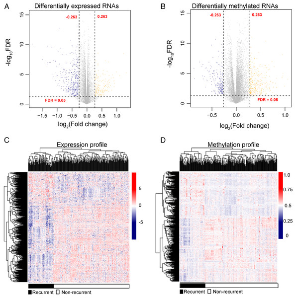 The expression and methylation levels of lncRNAs and genes in lung squamous carcinoma samples.