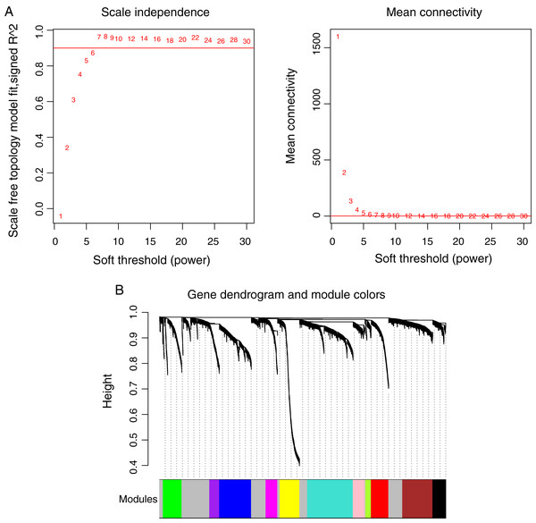 Weighted correlation network analysis (WGCNA) for RNAs with differentially methylation and expression levels.