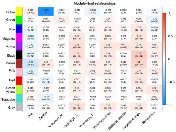 Heatmap showing the correlation of WGCNA modules with clinical variables.