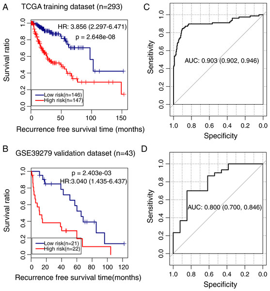 Analysis of the methylation prognostic model in lung squamous cell carcinoma.