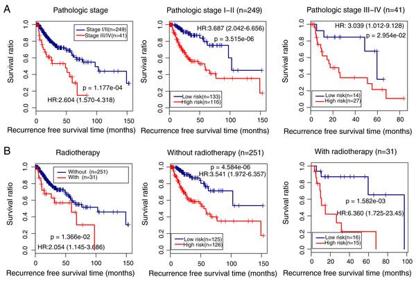 Subgroup analysis showing the performance of the methylation prognostic model in predicting prognosis in lung squamous carcinoma.