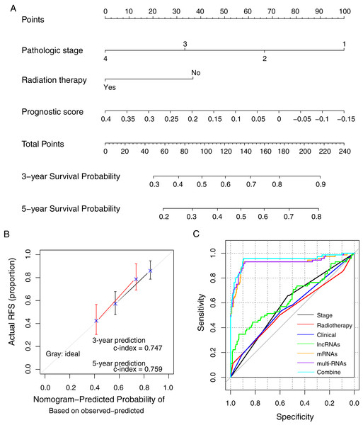 The prognostic nomogram and index for recurrence-free survival.