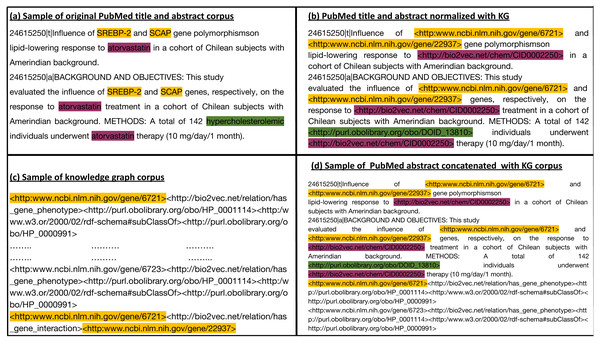 (A) Sample of the original Pubmed title and abstract; (B) Illustration of how we normalize literature abstracts to our knowledge graph to ensure that both overlap on the level of tokens. It shows the use of ontologies to normalize synonymous or similar terms to their respective ontology identifiers as in hypercholesterolemic. We refer to NCBI semantic web links for genes. For other entities with no standard semantic web links, we assign them to links that start with http://bio2vec.net/. (C) Sample of the knowledge graph corpus. (D) Sample of the knowledge graph corpus concatenated with the PubMed abstract corpus.
