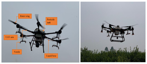 Two plant protection UAVs used in this study: T20 (left) and T30 (right).