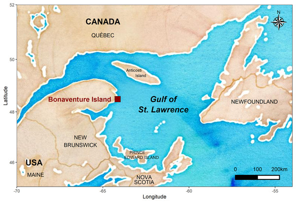 Location of the Bonaventure Island’s northern gannet colony.