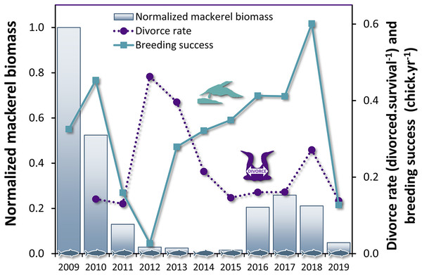 Time series of divorce rate and breeding success in northern gannets, and normalized mackerel biomass in the Gulf of St. Lawrence between 2009 and 2019.