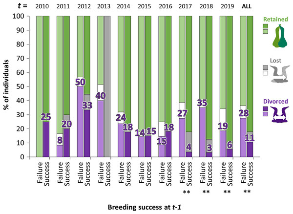 Percentage of individuals that retained, lost their mate or divorced at year t, according to the breeding success at year t − 1 (with GLMM: divorce ~ breeding success at t − 1 × year t + (1|ID)).