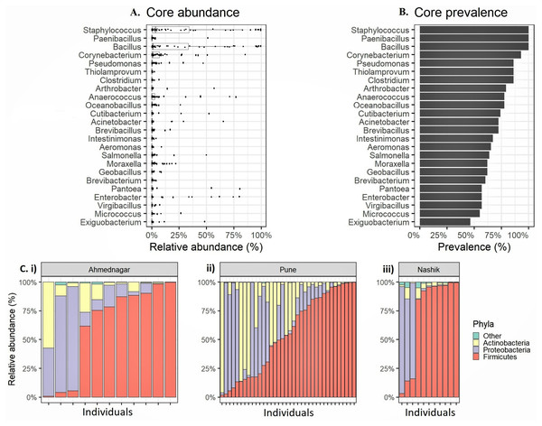 Relative abundance of the most prevalent phyla and genera observed on the skin microbiota of the genetically unrelated individuals (N = 58) of Indian origin.