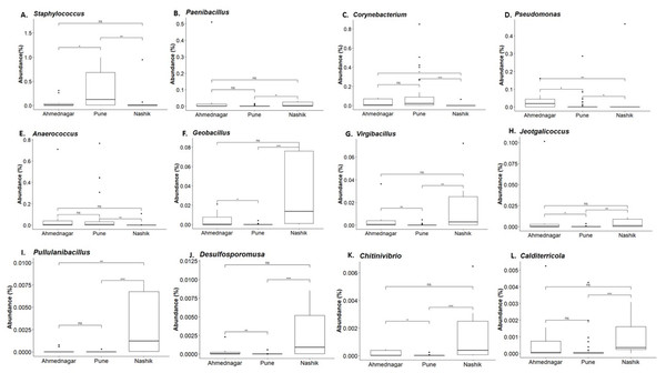 Genus abundances in geographical locations arranged as per most abundant in a panel.