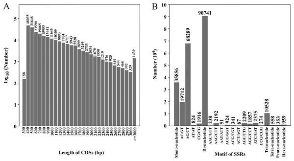 Length distribution of CDSs and number of various SSR motifs.