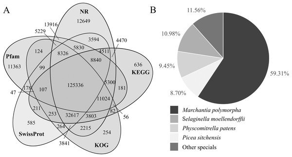 Venn diagram of transcript number distribution annotated by 5 databases and homologous species information in the NR database.