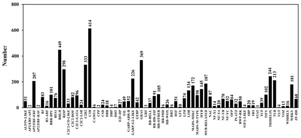 Transcription factor classification.