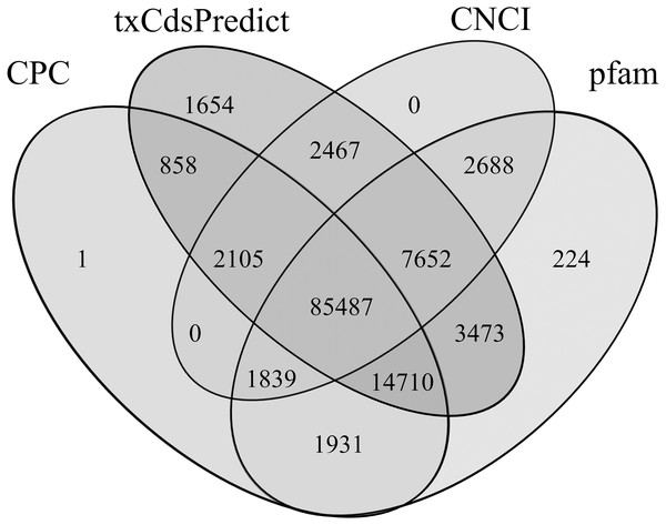 Venn diagram of the lncRNAs numbers predicted by CPC, txCdsPredict, and CNCI software and the Pfam database.