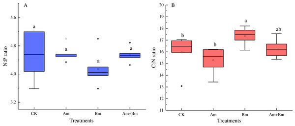 Effect of different inoculations on the N:P ratio (A) and C:N ratio (B).
