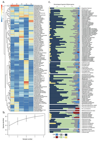 Distribution and metabolism of equine microbial genomes.