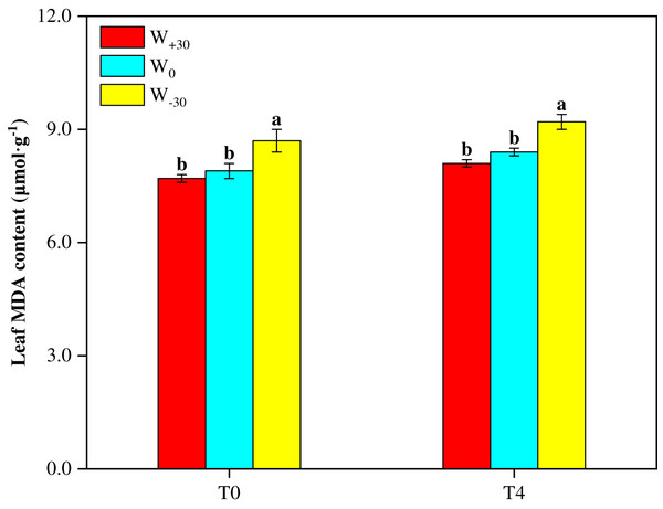 Effects of warming and precipitation changes on Malondialdehyde content in leaves of Phragmites australis.