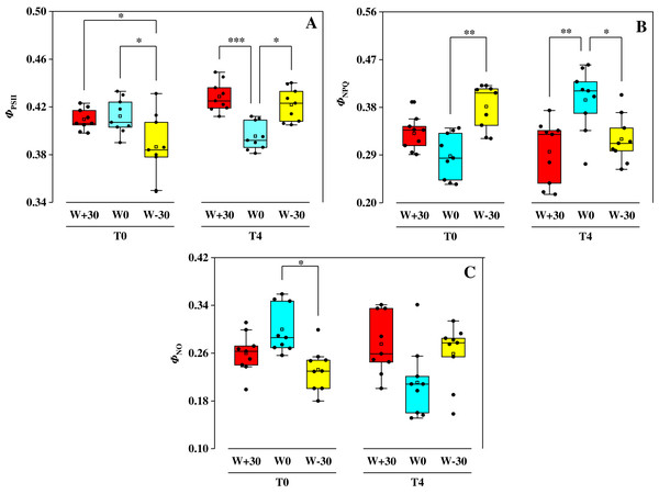 Effects of warming and precipitation changes on ΦPSII (A), ΦNPQ (B) and ΦNO (C) in leaves of Phragmites australis.